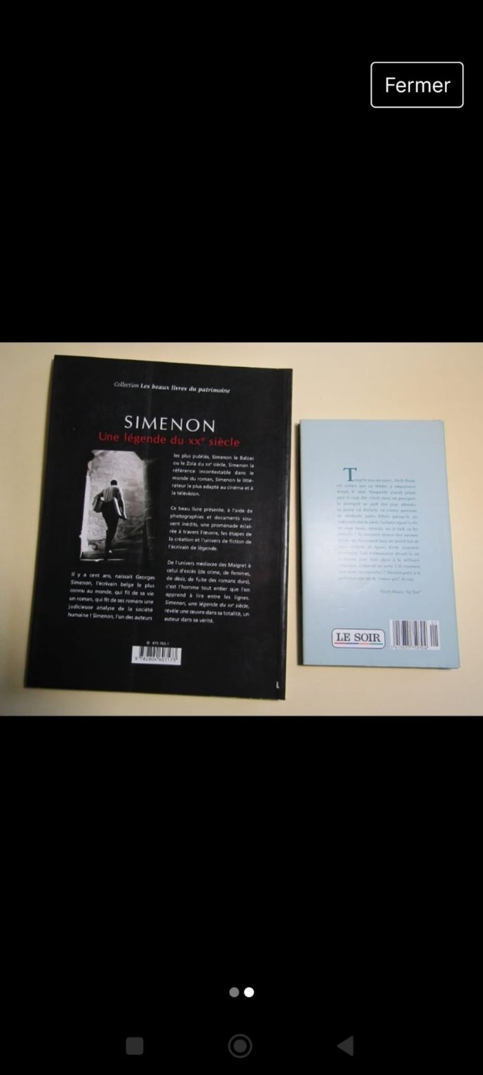 Simenon - photo numéro 3