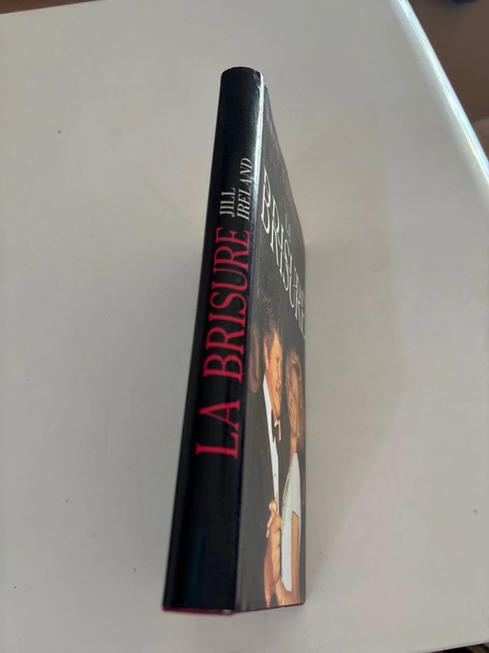 Livre la brisure - photo numéro 2