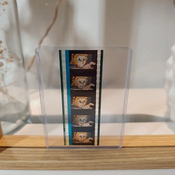 Pellicule demon slayer Rengoku ( Père )