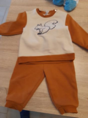 Enssemble écureuil orchestra