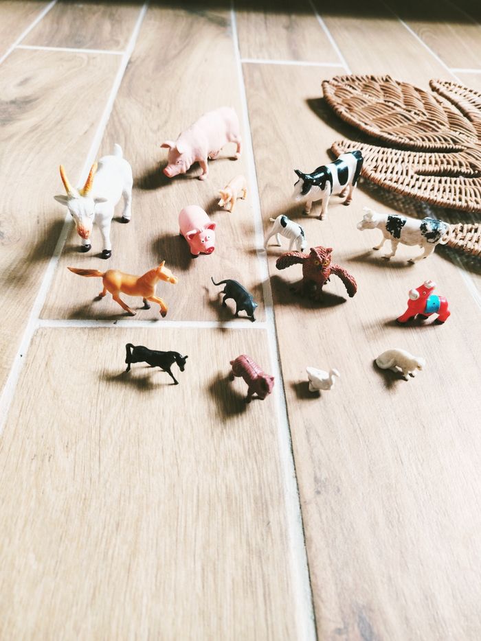 🐷Lot divers animaux de la ferme Montessori en plastique