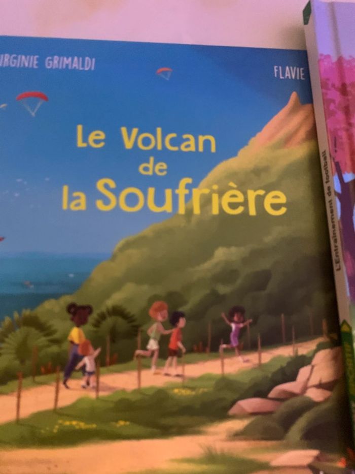 Lot 3 livres - photo numéro 4