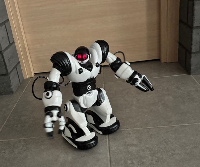 Robot Interactif - photo numéro 5