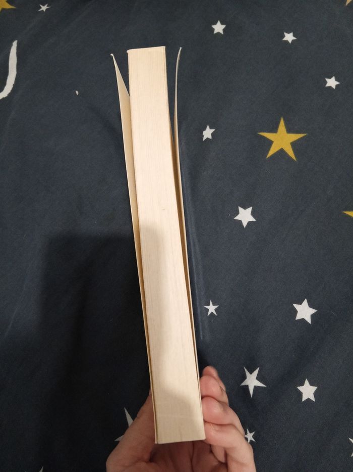 Livre (68) 📚 La baronne de la tronche en biais - photo numéro 4