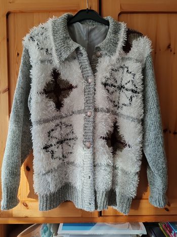 Veste laine poilu