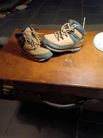 Timberland 29