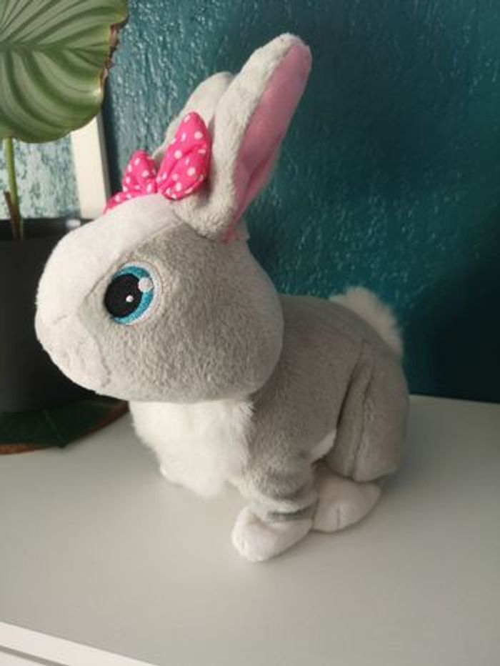 Lapin sauteur - photo numéro 4