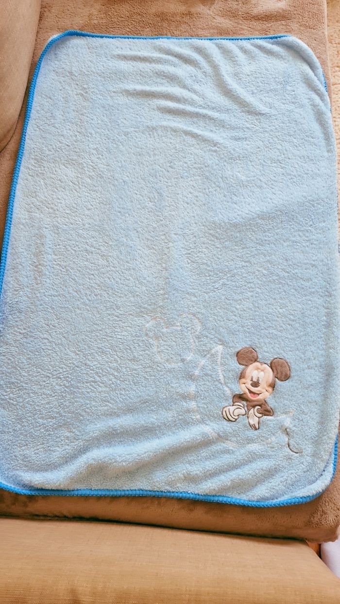 Plaid mickey