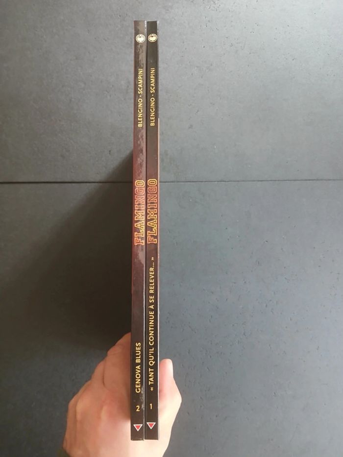 Bd flamingo 1 et 2,EO - photo numéro 2