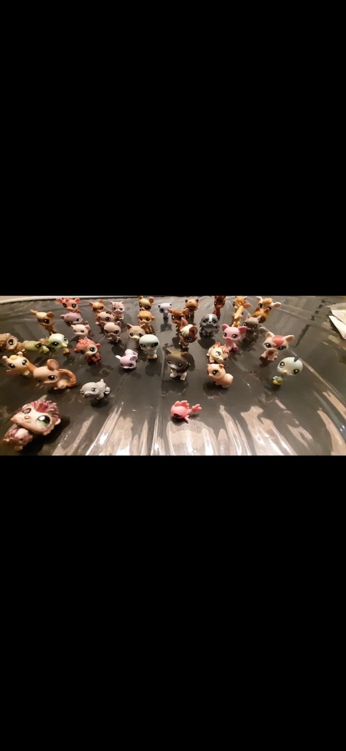 Lot Petshops - photo numéro 7