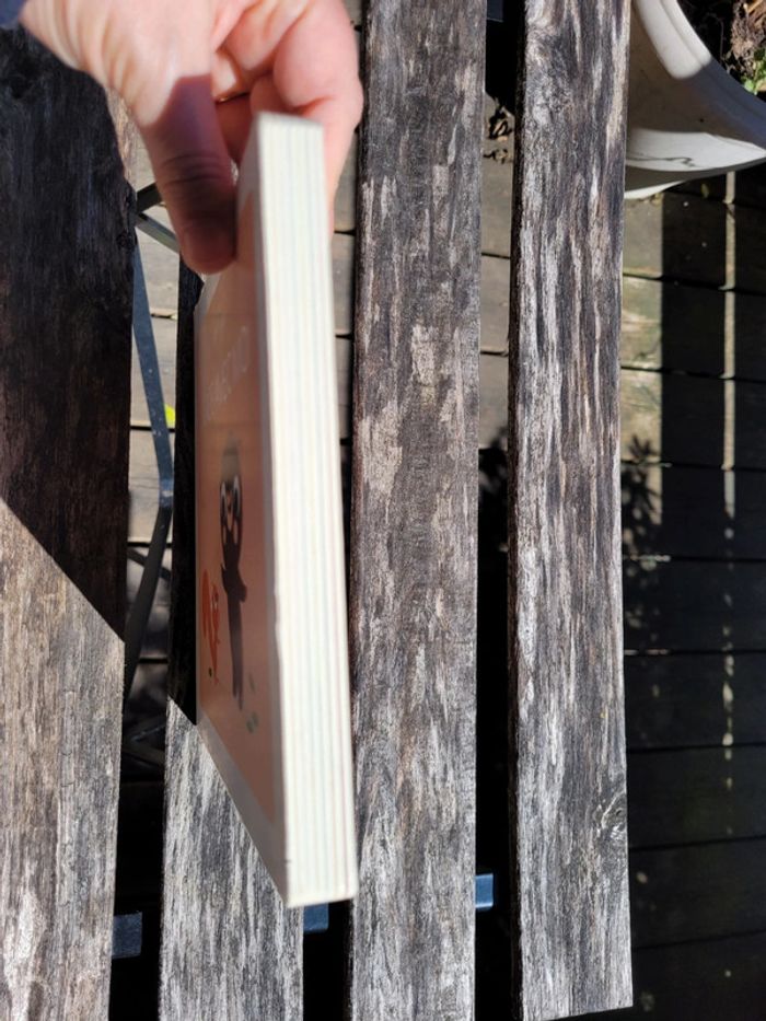 Livre tout carton Éditions Fleurus collection Petit Doux 🐿 Joue avec moi 🐻 - photo numéro 12