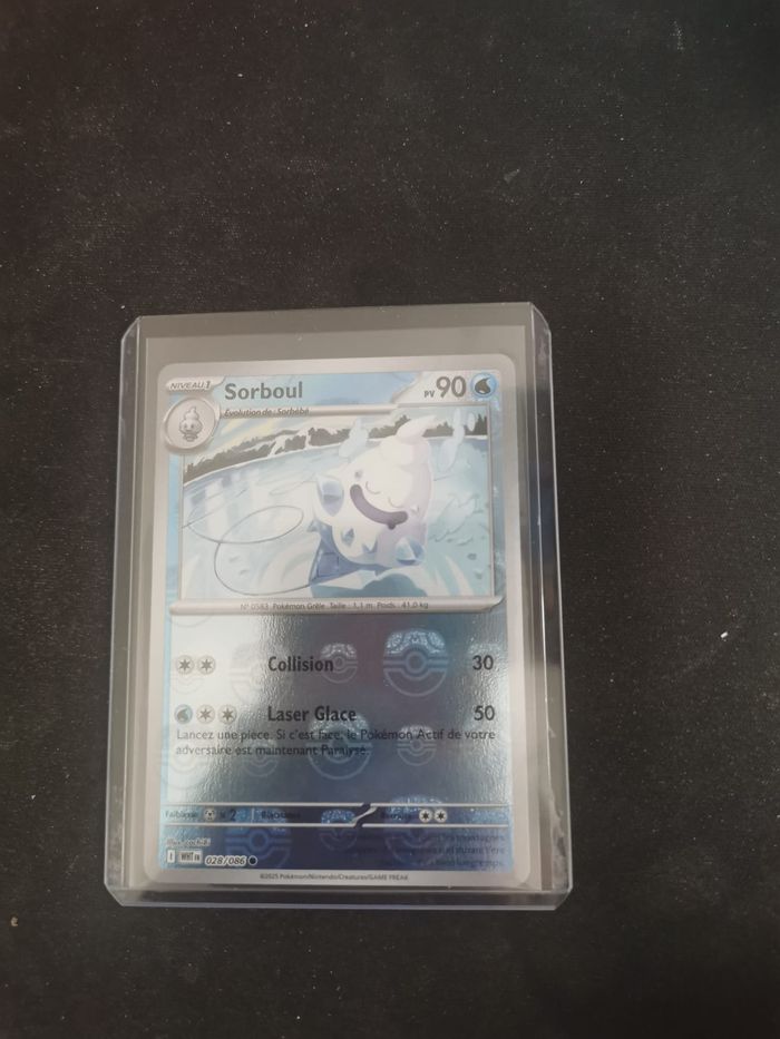 Sorboul Masterball EV10.5 Foudre Noire et Flamme Blanche