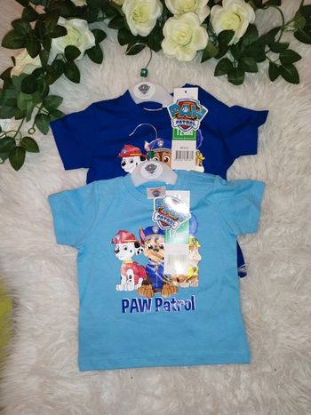 Lot de 2 t-shirts paw patrol