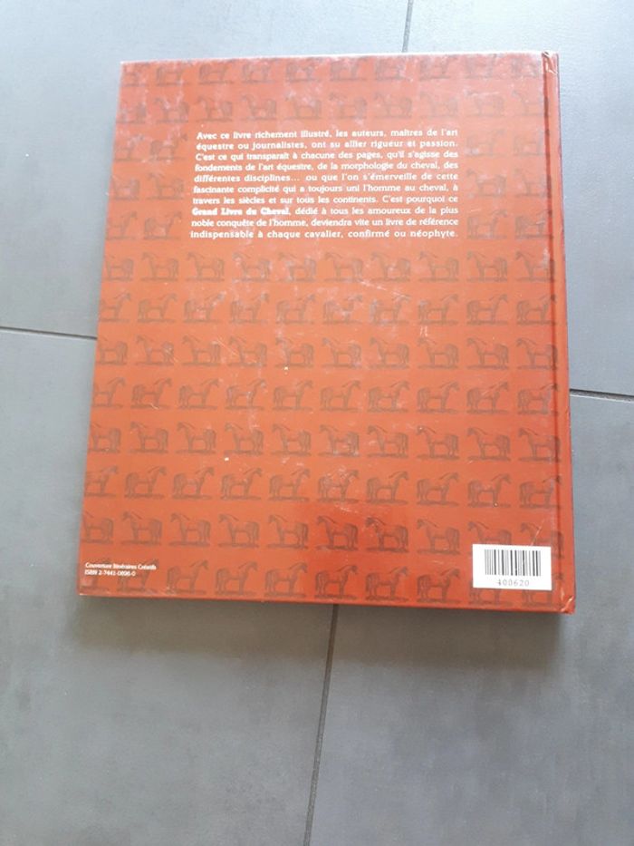 Très beau livre le grand livre des chevaux - photo numéro 20