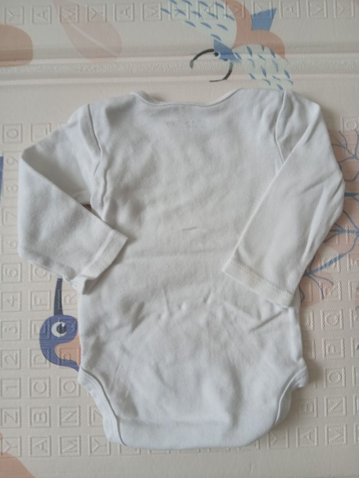 Bodi - photo numéro 2