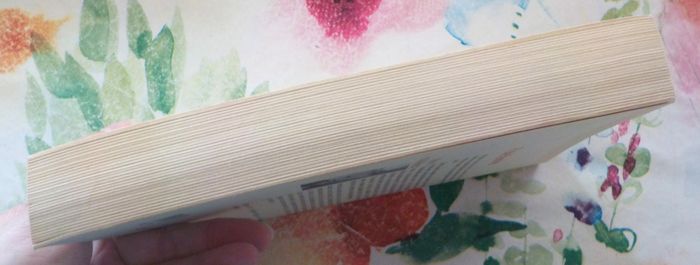 PLATEFORME de Michel HOUELLEBECK Ed. Flammarion - photo numéro 5