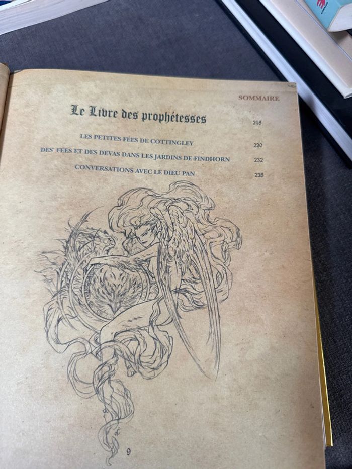 La grande bible des fées - photo numéro 10