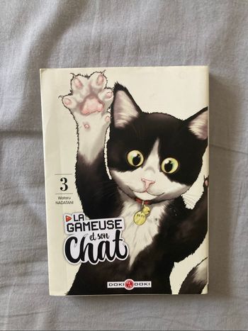 Manga la gameuse et son chat T3