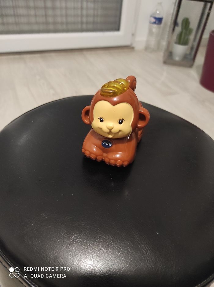 Tut tut Animo le petit ouistiti