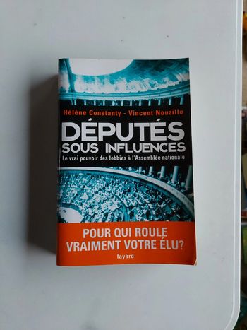 Députés sous influences
