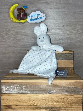 OR120 doudou lapin 🐰 orchestra