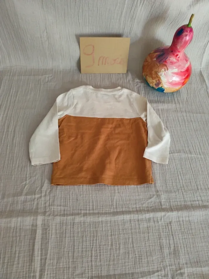 Tenue 9 mois/71cm - photo numéro 3