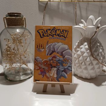 Manga pokémon la grande aventure tome 10