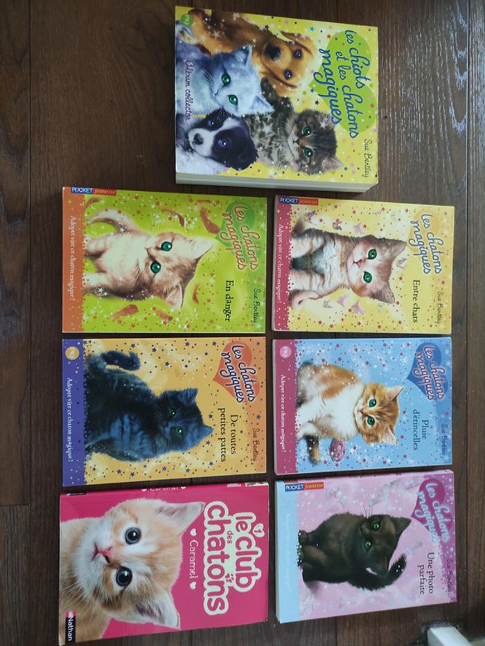 Lot livres Les chatons magiques