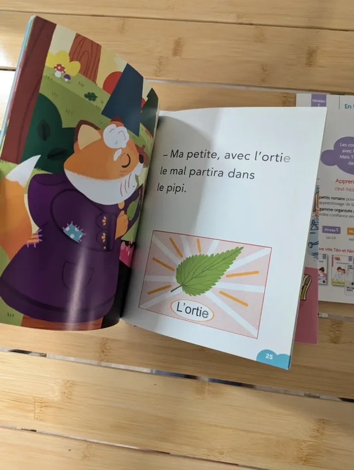 Lot livres pour apprendre à lire - photo numéro 4