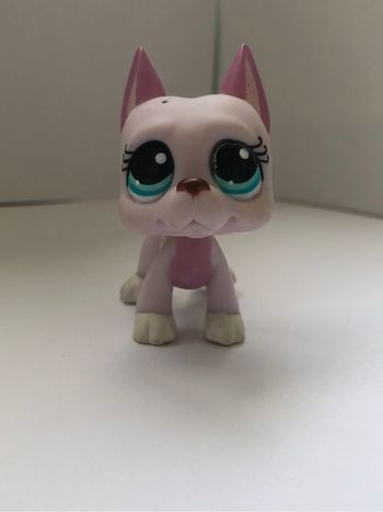 Pet shop : chien danois rose