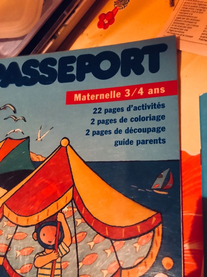 Lot de 3 cahiers «Passeport » - photo numéro 3