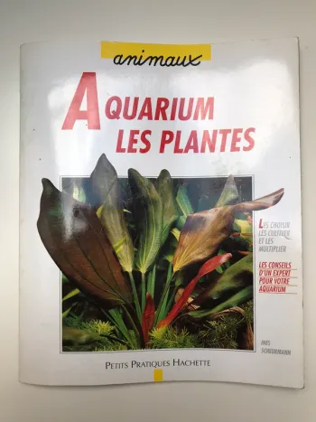 Les plantes d aquarium