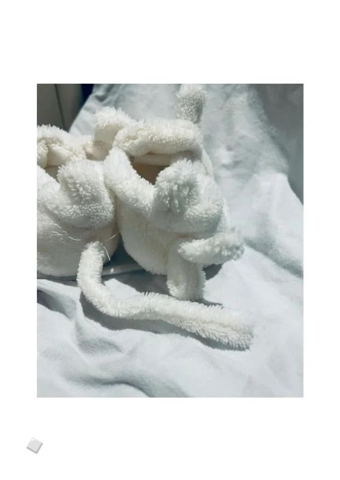 Chaussons mixtes blancs bébé petite souris pointure 16 - photo numéro 5