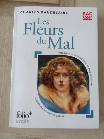 livre adultes Les fleurs du mal