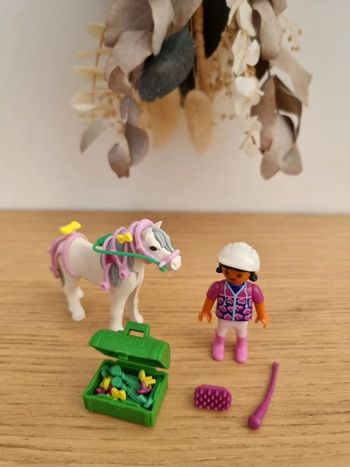 Poney à décorer 
Playmobil 
Excellent état