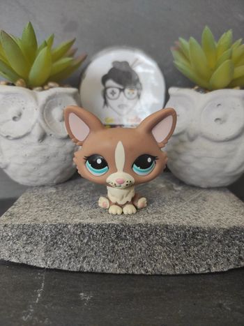 Blythe Littlest Petshop Pet Shop LPS  corgi hasbro 1864 dog #geektradelpschien