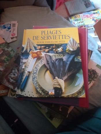 Livre pliages de serviettes