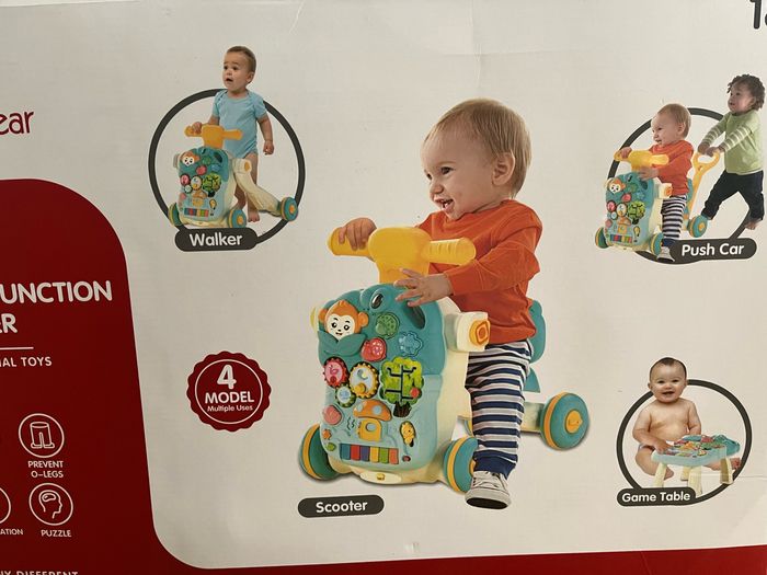 Chariot de marche - photo numéro 2