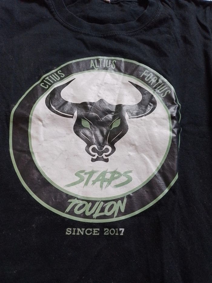 T-shirt homme Noir motif taureau - photo numéro 4