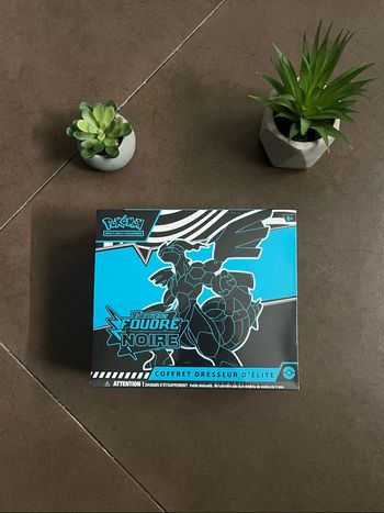 Pokémon ETB Ev10.5 Écarlate et Violet : Foudre Noire