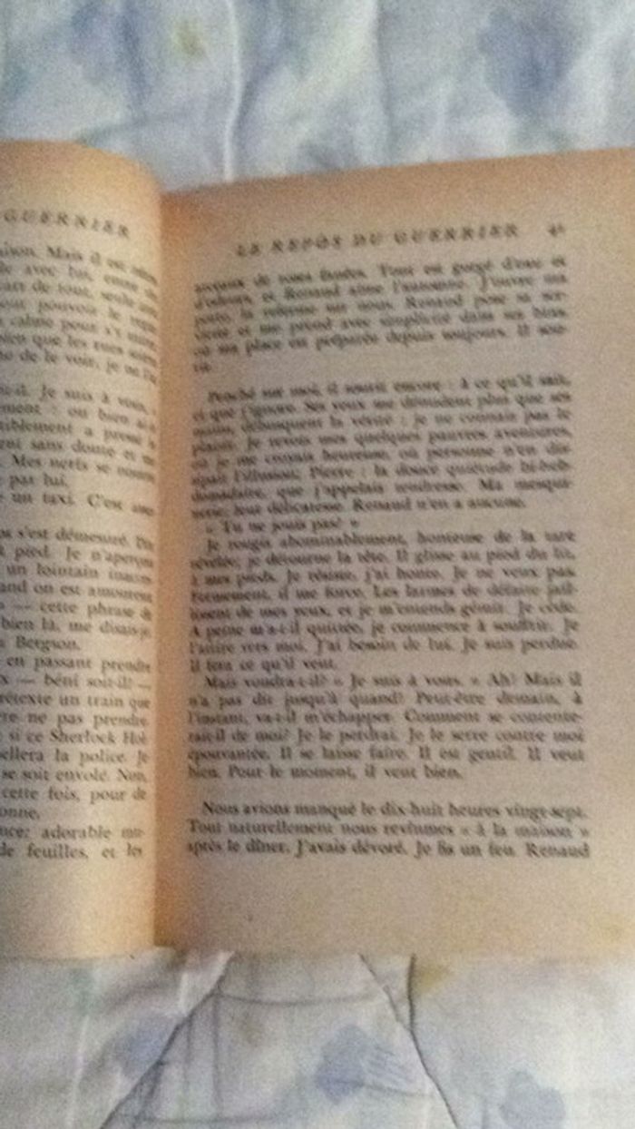 # le repos du guerrier par Christine Rochefort - photo numéro 6