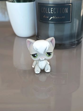 Littlest Pet Shop #954 white grey long hair cat