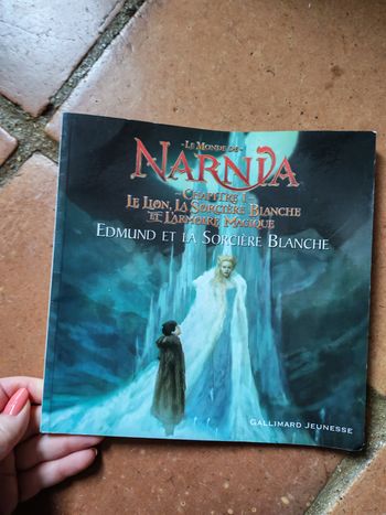 Le Monde de Narnia, chapitre 1 Edmund et la Sorcière Blanche