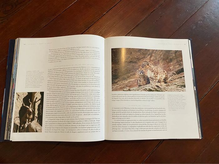 Livre un jour sur terre - photo numéro 2