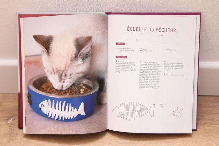 Pate polymère - photo numéro 2