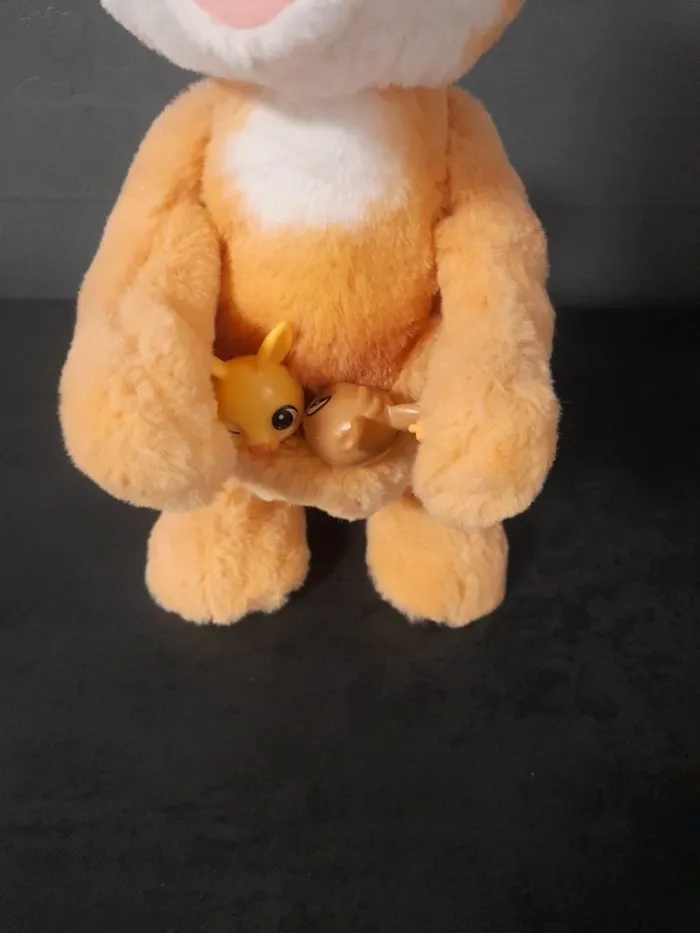 Kangourou interactif - photo numéro 6