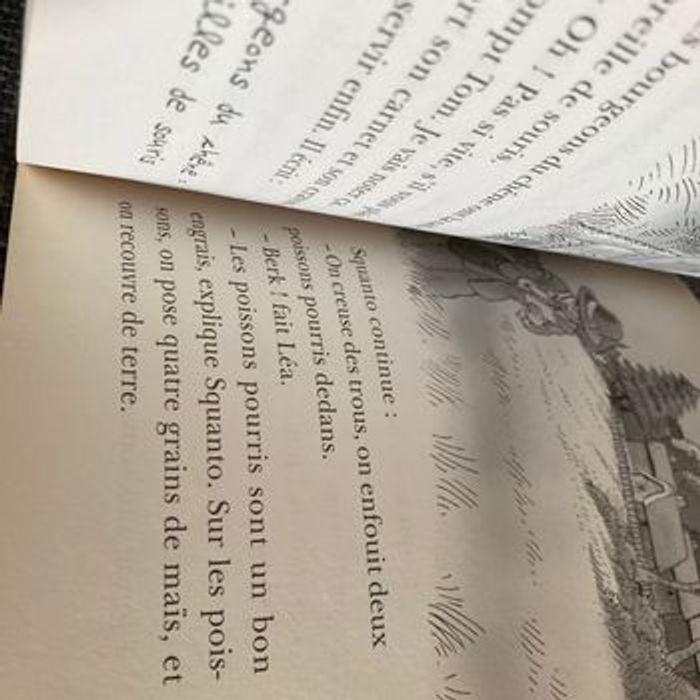 Livre de poche la cabane magique 22 drôles de rencontres en Amérique - photo numéro 6