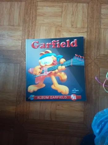 Garfield 31