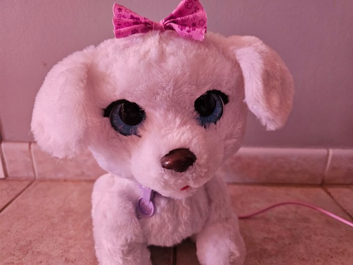 Gogo mon chien qui danse furreal - photo numéro 3