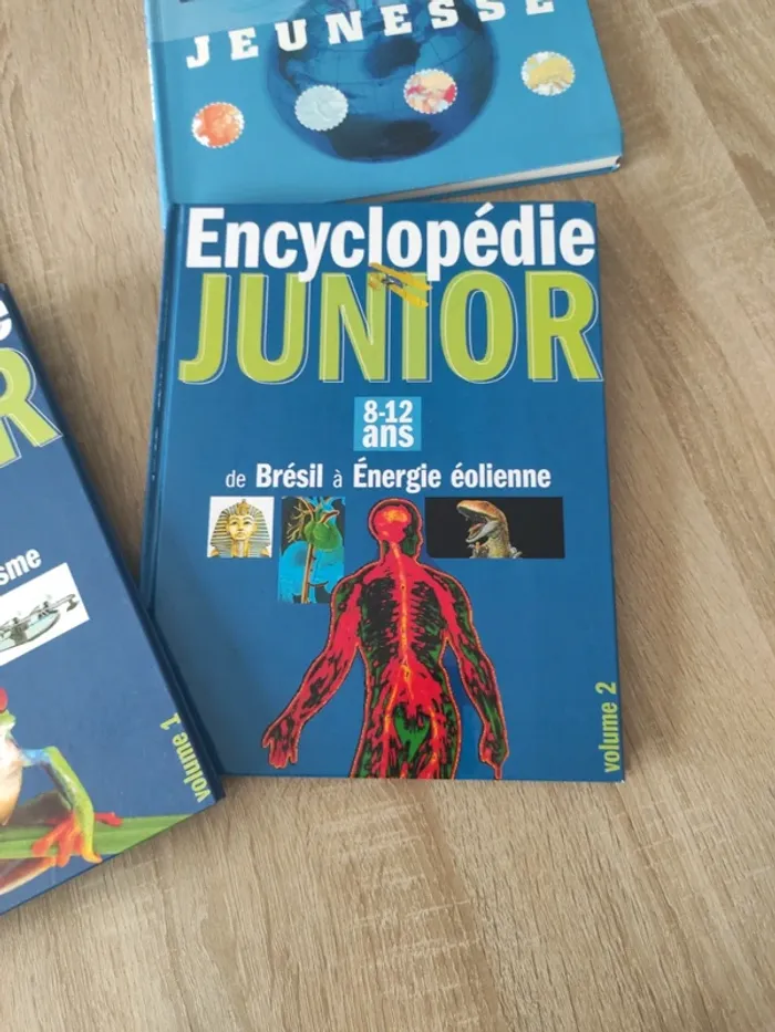 Encyclopédie junior livre découverte - photo numéro 5